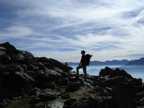 04d profilo regale...