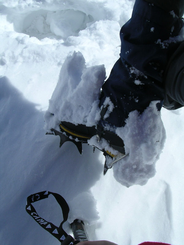 04f Bella anti-Zoccola...al contrario..