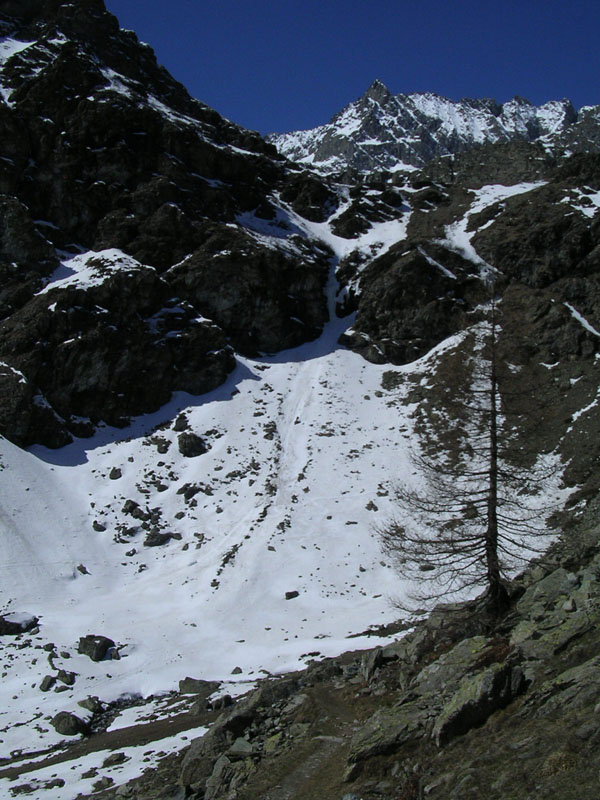 06a Prossime Canalutte...